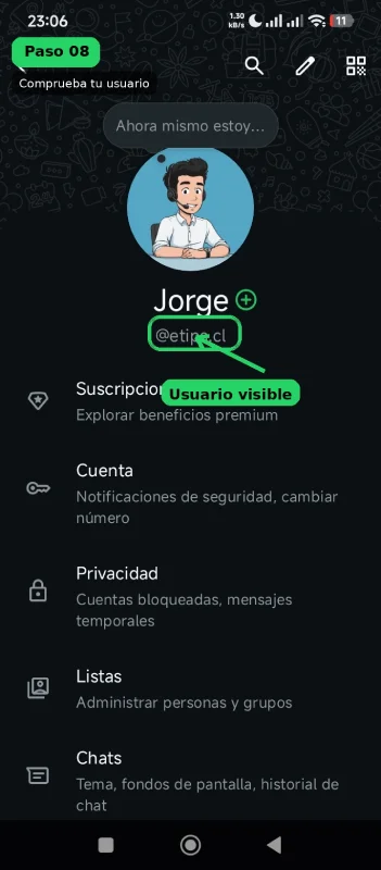 Captura de pantalla: nombre de usuario visible debajo del perfil en WhatsApp